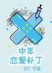 中年恋爱补丁在线阅读